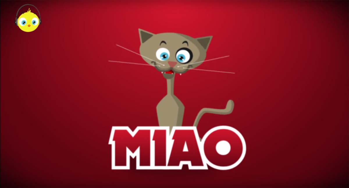 chat qui miaule en espagnol = MIAO
